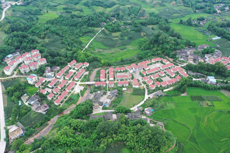 雅安市-航拍-田园-天全县-天全县 图片素材