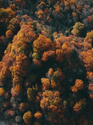 巴中市-河谷-风景-树-树木 图片素材