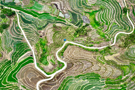 海南岛-航拍-风景-田野-田地 图片素材