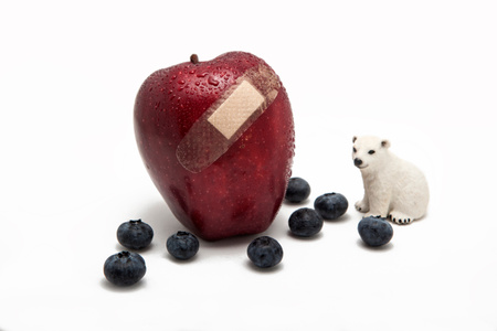 创可贴-水果-食物-水果-蓝莓 图片素材