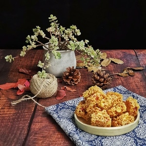 阴天-植物-多肉-静物-电脑传图 图片素材