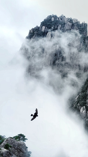 我要上封面-黄山-自然-生态-水墨山水 图片素材