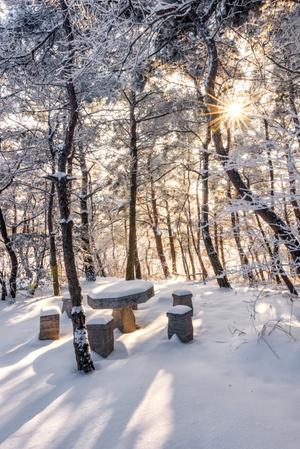 风景-风光-雪后-风景-雪景 图片素材