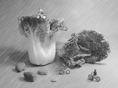 手机摄影-创意-白菜-蔬菜-食材 图片素材