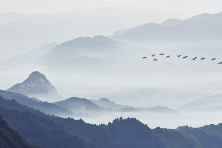 haida滤镜签约-户外-山雾-山峦-晨 图片素材