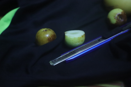 爱拍照与大自然-广州市-水果-果子-果实 图片素材