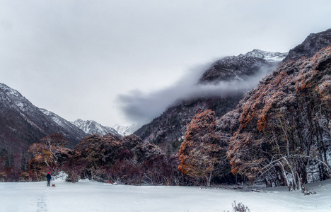 haida滤镜签约-风光-风景-雪天-山 图片素材