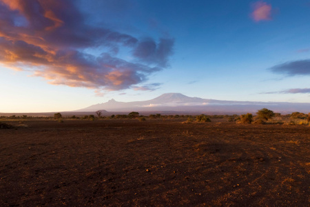 我要上封面-东非-肯尼亚-乞力马扎罗-雪山 图片素材