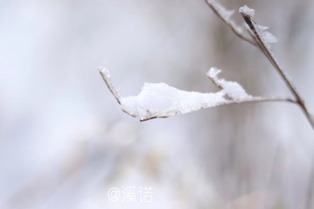 慢生活-尘世烟火-时光缝隙-小而美-记录 图片素材