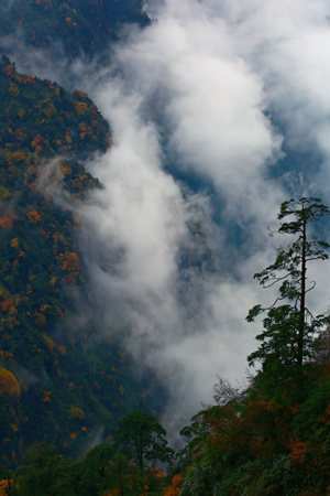 水墨风-风光-风景-雾-山雾 图片素材