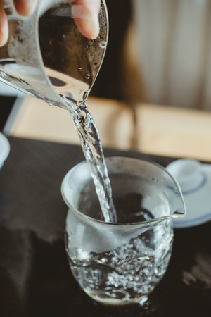 茶-茶艺-静物摄影-中国风-金丝龙珠 图片素材