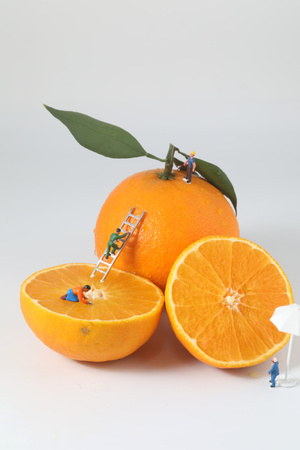 橙子-橘子-柑橘-脐橙-水果 图片素材