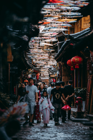 小花-云南-旅行-旅拍-休闲 图片素材