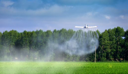 水稻-绿色-米都-大农业-飞机 图片素材