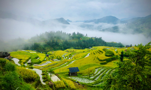 黔东南苗族侗族自治州-风光-稻田-风光-风景 图片素材