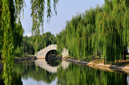 攀枝花-城市风光-我要上封面-随拍-风景-园林 图片素材