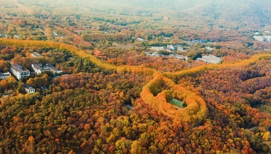 看你的城市-你好秋天-金陵风光-有趣的瞬间-风景 图片素材