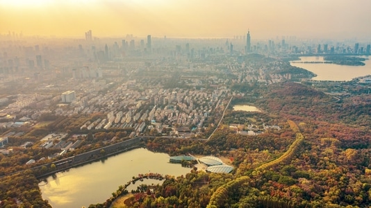 冬日暖阳-看你的城市-金陵风光-有趣的瞬间-银杏黄了 图片素材