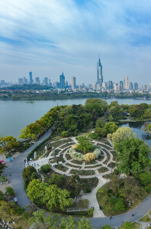 随拍-花草-我要上封面-城市天际线-城市风光 图片素材
