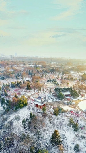 雪景-风景-雪-雪地-云 图片素材