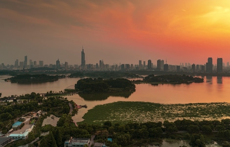 南京市-城市风光-城市色彩-随拍-霞光 图片素材