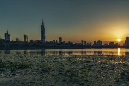 风光-看你的城市-紫峰-建筑-房屋 图片素材