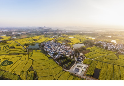我要上封面-随拍-风光-风景-草地 图片素材