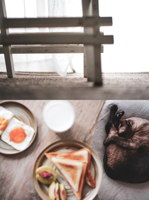 早餐-生活-美食摄影-猫咪-猫 图片素材