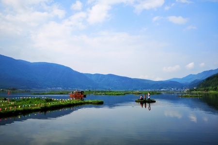 湿地公园-手机-湿地公园-湖-湖面 图片素材