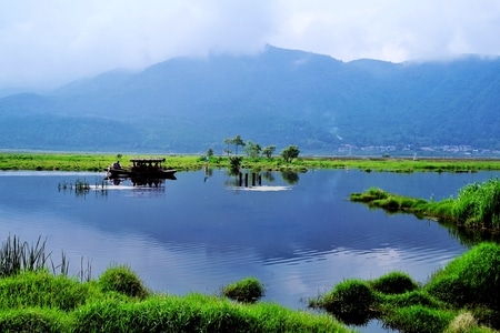 湿地公园-手机-湿地公园-湖-湖面 图片素材