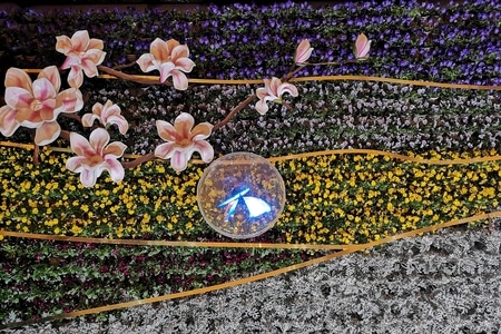 墙饰-墙饰-水晶灯-花-花朵 图片素材