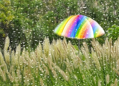 风光-自然-华为手机-伞-彩虹伞 图片素材