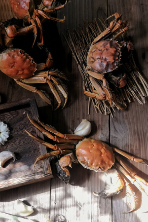 螃蟹-手机-螃蟹-食物-美食 图片素材