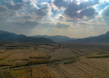 旅游-太行山-梯田-秋季-土地 图片素材