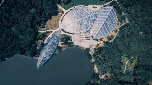 南京市-航拍-树木-建筑-水域 图片素材