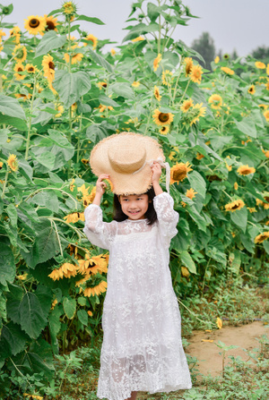 像素蜂蜜首发-儿童摄影-外景-花-向日葵🌻 图片素材