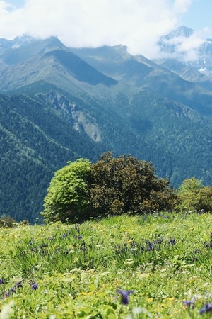 阿坝藏族羌族自治州-巴郎山-巴郎山-山-山脉 图片素材