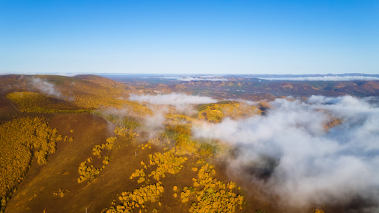 赤峰市-秋色-白桦林-云雾-自然 图片素材