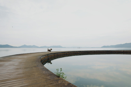 生活-我要上封面-旅游-宠物-风景 图片素材