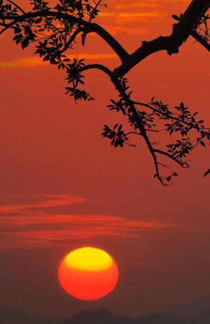 佛山市-生活-手机随手拍-夕阳-夕阳 图片素材
