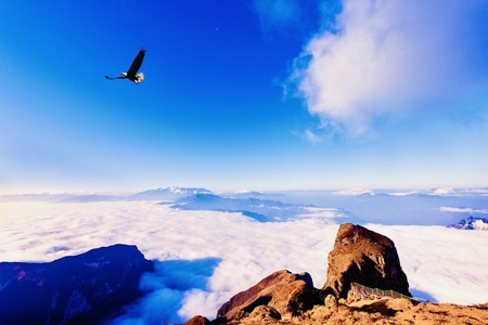 云南风景-鸡公山-鹰🦅-风景-云 图片素材