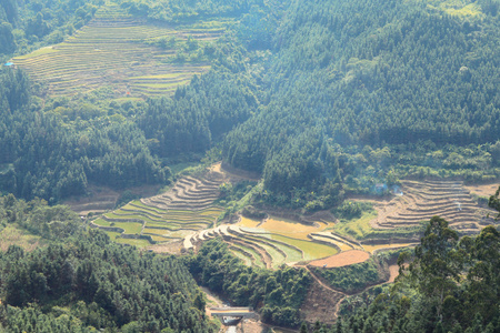 骑行-沿边公路-广西-农田-田地 图片素材