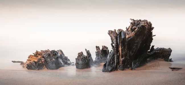 有趣的瞬间-扫海-海口-木头-枯木 图片素材