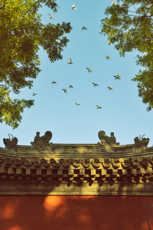 我要上封面-北京-建筑-阳光-光影 图片素材