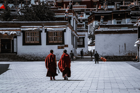 haida滤镜签约-西藏-宗教-佛教-藏传佛教 图片素材