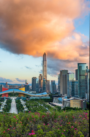 城市-建筑-地标-深圳-平安金融中心 图片素材