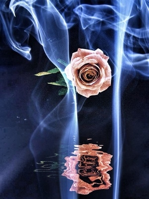 手机拍摄-闲情逸致-多重曝光-花-花朵 图片素材