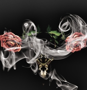 手机拍摄-闲情逸致-多重曝光-花-花朵 图片素材