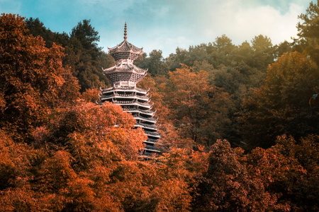 绿色-航拍-植物-贵阳市-阳光 图片素材