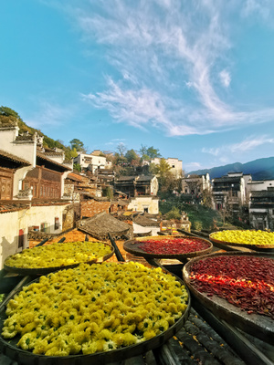 旅途-沿途风光-我要上封面-花-干花 图片素材